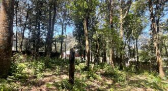 TERRENO EN VENTA KM 25.5 CARRETERA A SAN LUCAS