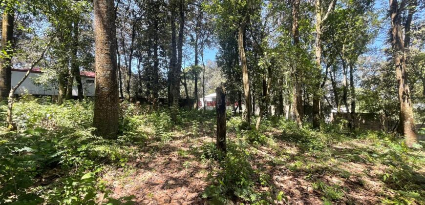 TERRENO EN VENTA KM 25.5 CARRETERA A SAN LUCAS
