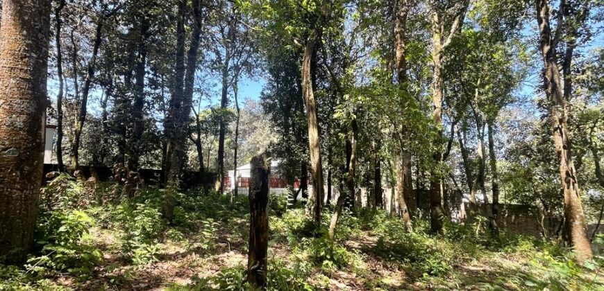 TERRENO EN VENTA KM 25.5 CARRETERA A SAN LUCAS