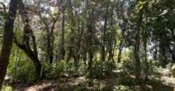TERRENO EN VENTA KM 25.5 CARRETERA A SAN LUCAS