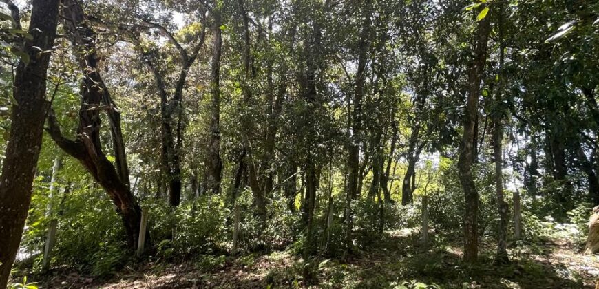 TERRENO EN VENTA KM 25.5 CARRETERA A SAN LUCAS