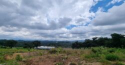 TERRENOS EN VENTA RESIDENCIALES EL PULTE GOLF, ZONA 16