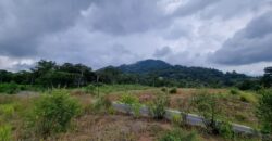 TERRENOS EN VENTA RESIDENCIALES EL PULTE GOLF, ZONA 16