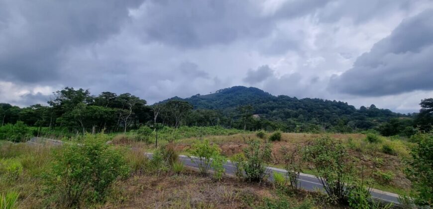 TERRENOS EN VENTA RESIDENCIALES EL PULTE GOLF, ZONA 16