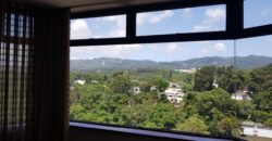 APARTAMENTO EN RENTA AMUEBLADO ZONA 14 EDIFICIO ELGIN