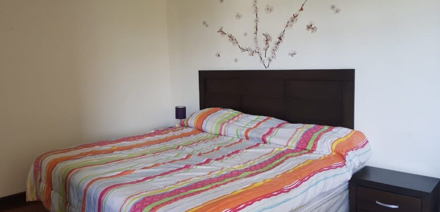 APARTAMENTO EN RENTA AMUEBLADO ZONA 14 EDIFICIO ELGIN