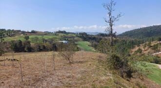 TERRENO EN VENTA EL PULTE GOLF ZONA 24