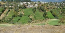 TERRENO EN VENTA EL PULTE GOLF ZONA 24
