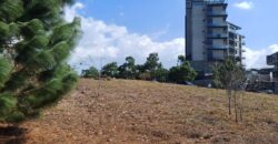 TERRENO EN VENTA EL PULTE GOLF ZONA 24