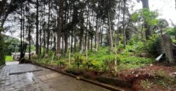 TERRENO EN VENTA SAN LUCAS CANTON LA CRUZ, ZONA 6