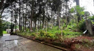 TERRENO EN VENTA SAN LUCAS CANTON LA CRUZ, ZONA 6