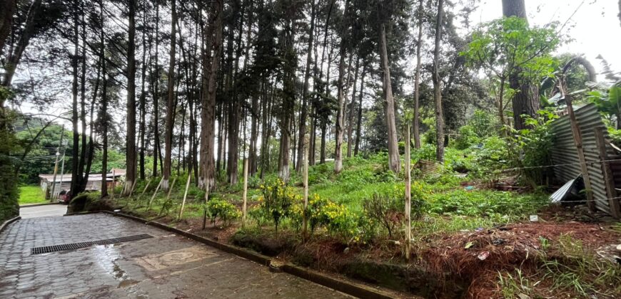 TERRENO EN VENTA SAN LUCAS CANTON LA CRUZ, ZONA 6