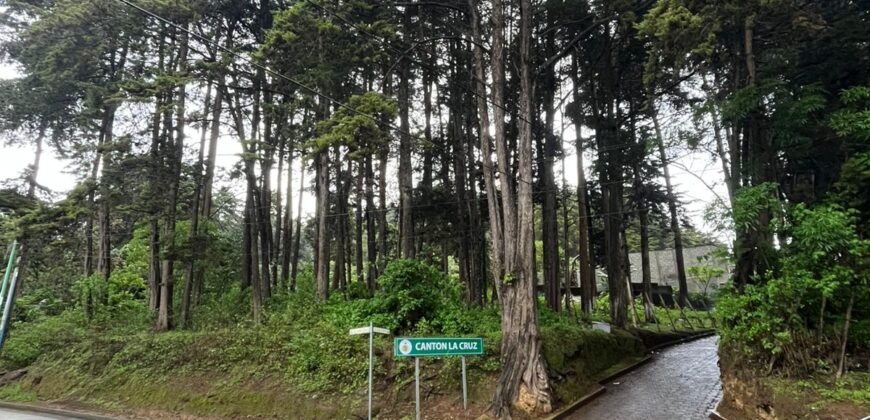 TERRENO EN VENTA SAN LUCAS CANTON LA CRUZ, ZONA 6