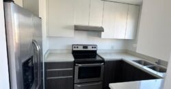 PENTHOUSE EN RENTA, EDIFICIO VERONA ZONA 10