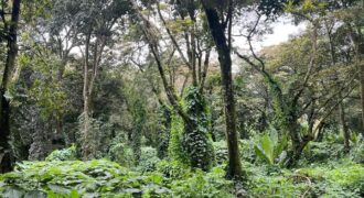 Terreno en venta Residencial Premier Campestre km 22.5 Carretera a el Salvador