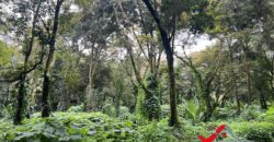 Terreno en venta Residencial Premier Campestre km 22.5 Carretera a el Salvador