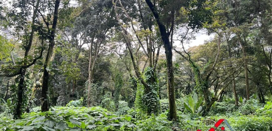 Terreno en venta Residencial Premier Campestre km 22.5 Carretera a el Salvador