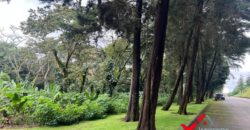 Terreno en venta Residencial Premier Campestre km 22.5 Carretera a el Salvador