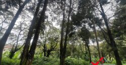 Terreno en venta Residencial Premier Campestre km 22.5 Carretera a el Salvador