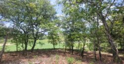 TERRENOS EN VENTA EN RESIDENCIALES PULTÉ GOLF ZONA 16