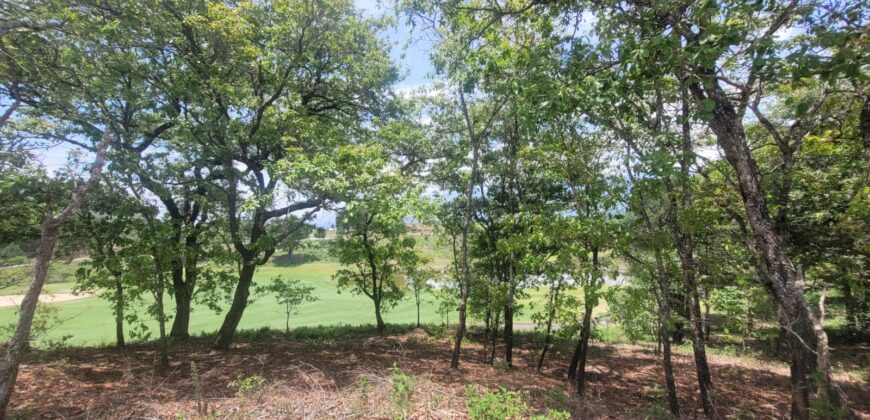 TERRENOS EN VENTA EN RESIDENCIALES PULTÉ GOLF ZONA 16
