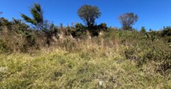 TERRENOS EN VENTA SAN JOSÉ PINULA