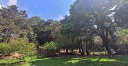 TERRENO RUSTICO EN VENTA KM 26.5 CARRETERA SAN LUCAS, SACATEPEQUEZ, A 100 MTS. DE LA CARRETERA