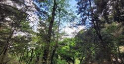 TERRENO RUSTICO EN VENTA KM 26.5 CARRETERA SAN LUCAS, SACATEPEQUEZ, A 100 MTS. DE LA CARRETERA