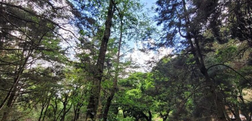 TERRENO RUSTICO EN VENTA KM 26.5 CARRETERA SAN LUCAS, SACATEPEQUEZ, A 100 MTS. DE LA CARRETERA