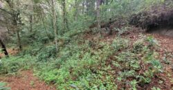 TERRENO RUSTICO EN VENTA KM 26.5 CARRETERA SAN LUCAS, SACATEPEQUEZ, A 100 MTS. DE LA CARRETERA