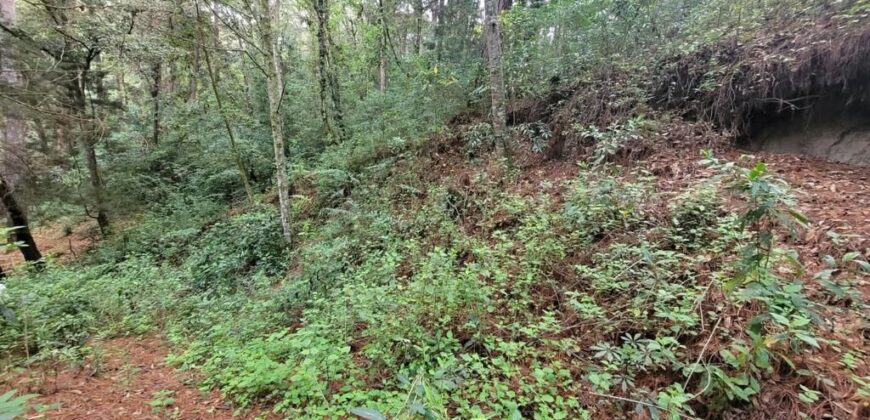 TERRENO RUSTICO EN VENTA KM 26.5 CARRETERA SAN LUCAS, SACATEPEQUEZ, A 100 MTS. DE LA CARRETERA