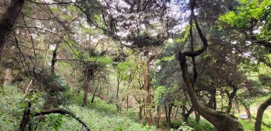 TERRENO RUSTICO EN VENTA KM 26.5 CARRETERA SAN LUCAS, SACATEPEQUEZ, A 100 MTS. DE LA CARRETERA