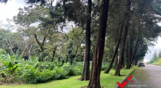TERRENO EN PREMIERE CAMPESTRE KM 22.5 CARRETERA A EL SALVADOR