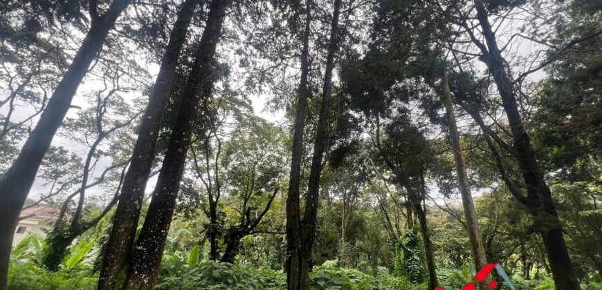 TERRENO EN PREMIERE CAMPESTRE KM 22.5 CARRETERA A EL SALVADOR