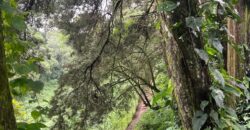 TERRENO EN PREMIERE CAMPESTRE KM 22.5 CARRETERA A EL SALVADOR