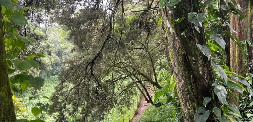 TERRENO EN PREMIERE CAMPESTRE KM 22.5 CARRETERA A EL SALVADOR