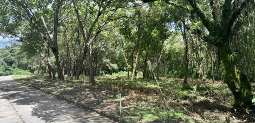 TERRENO EN VENTA CONDOMINIO CASA y CAMPO KM 23.5 CARRETERA A EL SALVADOR