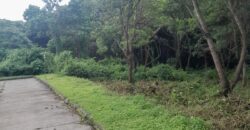 TERRENO EN VENTA CONDOMINIO CASA y CAMPO KM 23.5 CARRETERA A EL SALVADOR