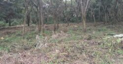 TERRENO EN VENTA CONDOMINIO CASA y CAMPO KM 23.5 CARRETERA A EL SALVADOR