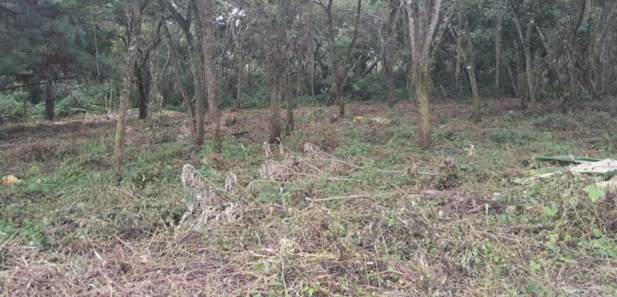TERRENO EN VENTA CONDOMINIO CASA y CAMPO KM 23.5 CARRETERA A EL SALVADOR