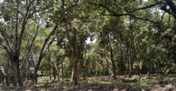 TERRENO EN VENTA CONDOMINIO CASA y CAMPO KM 23.5 CARRETERA A EL SALVADOR