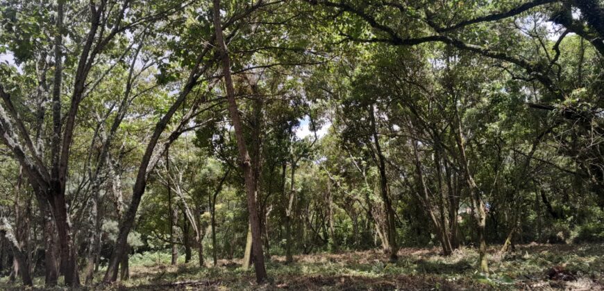 TERRENO EN VENTA CONDOMINIO CASA y CAMPO KM 23.5 CARRETERA A EL SALVADOR
