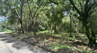 TERRENO EN VENTA EN CONDOMINIO CASA & CAMPO KM 23.5 CARRETERA A EL SALVADOR
