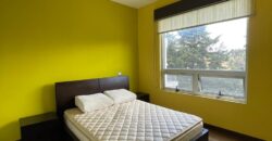 Apartamento amueblado en Renta Edificio Trento Zona 16