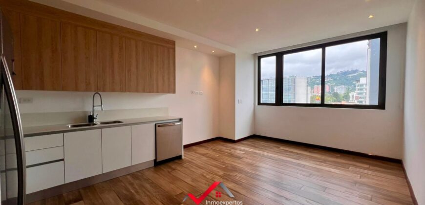 APARTAMENTO EN RENTA, EDIFICIO VHISTA ZONA 15 VISTA HERMOSA II